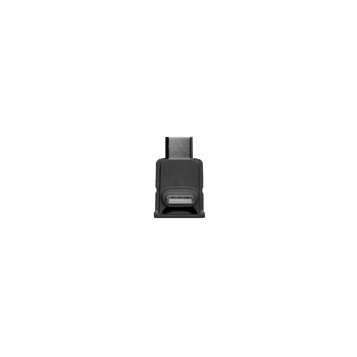 Profile Wireless Lightning Adapter