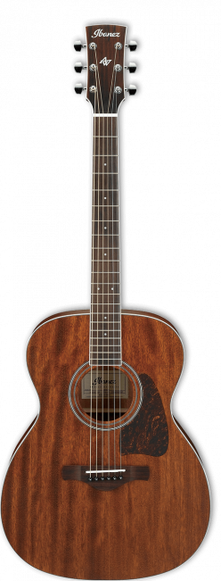 Ibanez AC340-OPN Artwood