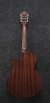 Ibanez AEG50N-NT nailonkielinen