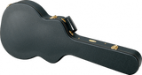 Ibanez AM-C Kitarakotelo