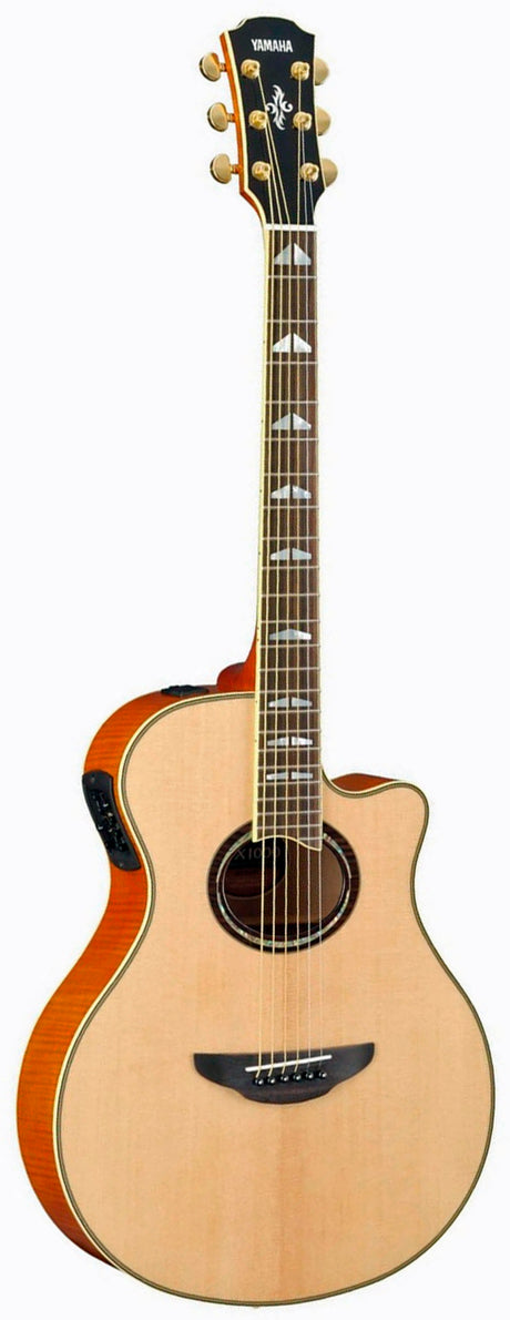 apx1000nt.jpg