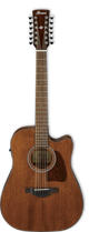 Ibanez AW5412CE-OPN Artwood