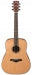Ibanez AW65LG