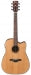Ibanez AW65ECE LG