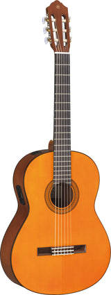 cgx102a.jpg