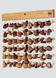Meinl Sonic Energy Synthetic Rainstick - Bamboo Finish