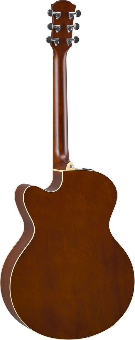 cpx600_vintagetint_b_0001.jpg