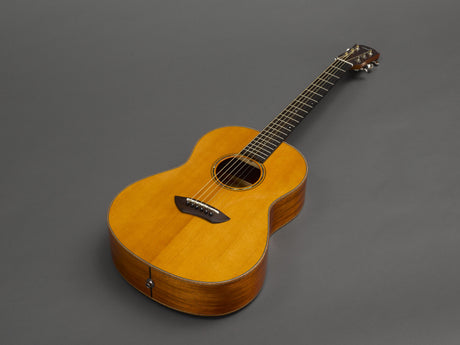 csf3m_vintagenatural_z_0001.jpg