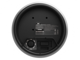 Bose DesignMax DM6PE Riippukaiutinpari Musta