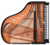 170VC Vienna Concert