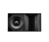 Bose ArenaMatch AM20/80 Outdoor Kaiutin, 80x20
