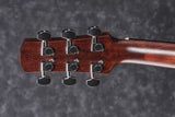 Ibanez AAD100E-OPN