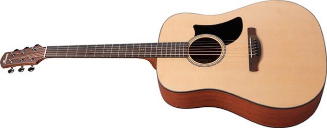 Ibanez AAD50-LG