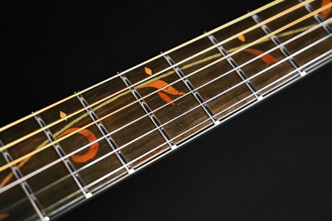 Ibanez AE295-LGS akustinen kitara