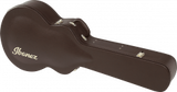 Ibanez western kitaran pussi