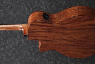 Ibanez AEG200-LGS