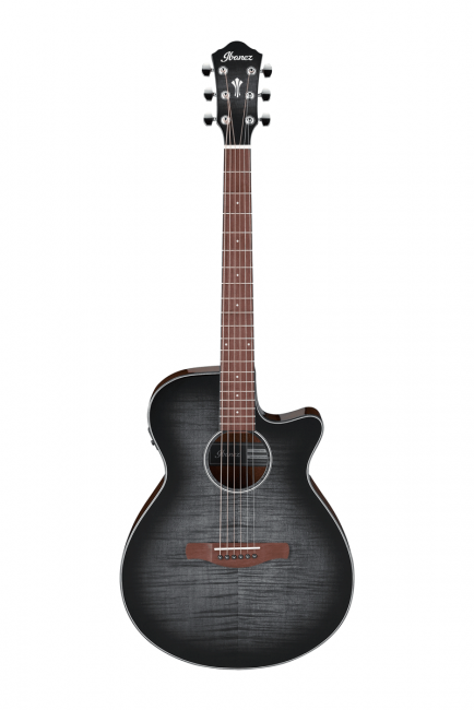 Ibanez AEG70TCH