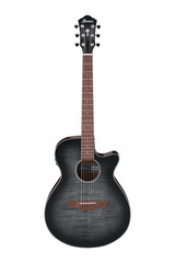 Ibanez AEG70TCH