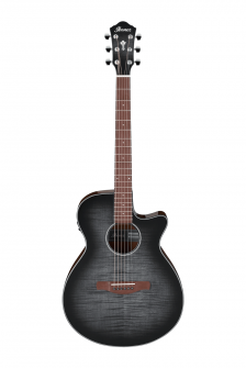 Ibanez AEG70TCH