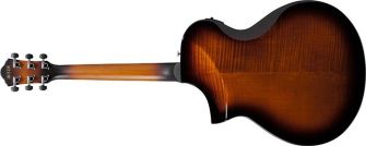 Ibanez AEWC400-AMS