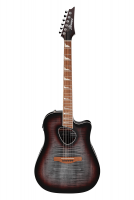 Ibanez AEWC11-NNB