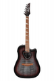 Ibanez AEWC11-NNB