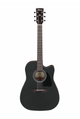 Ibanez AW70ECE NT