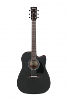 Ibanez AW65ECE LG