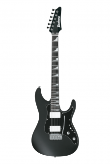Ibanez BER10