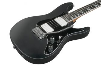 Ibanez BER10