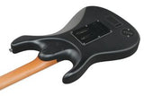 Ibanez BER10