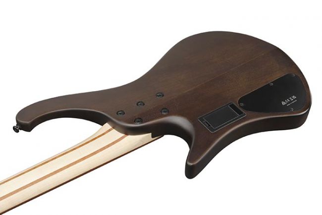 Ibanez EHB600-WNF