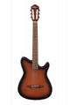 Ibanez AEWC11-NNB