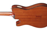 Ibanez FRH10N-IBF nylonkielinen kitara
