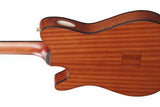 Ibanez FRH10N-IBF nylonkielinen kitara
