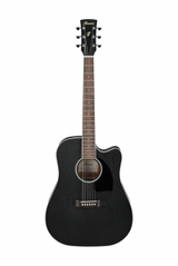 Ibanez PF16MWCE-WK