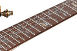 Ibanez RG8620AHBQZ sähkökitara