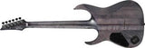 Ibanez RGT1221PB-DTF Premium