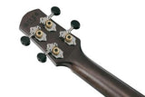 Ibanez UEW12E-BIF ukulele mikrofonilla