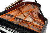 Grand Piano 200