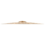 Meinl 22" Pure Alloy Extra Hammered Crash-Ride