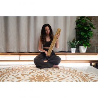 Meinl Sonic Energy Synthetic Rainstick - Bamboo Finish