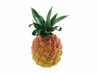 Nino Percussion NINO595 Ananas-shakeri