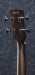Ibanez PCBE12MH OPN akustinen bassokitara