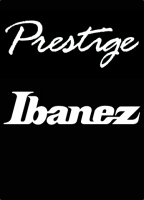 Ibanez Guitar Pick