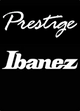 Ibanez Guitar Pick
