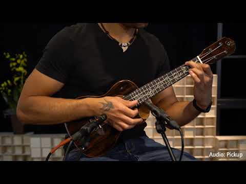 RUET-ZC Elite Series Ziricote elektroakustinen konserttiukulele