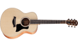 taylor_gs_mini_sapele.png