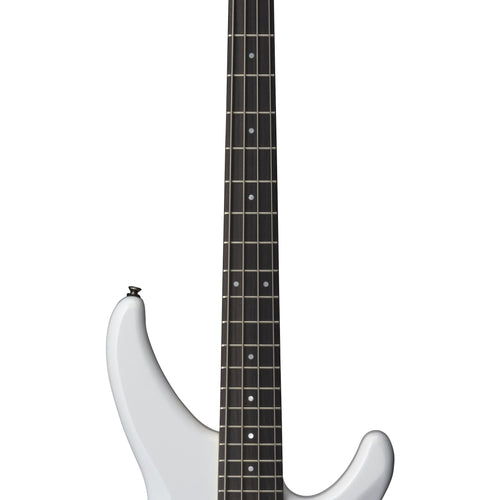 Bassot aloittelijalle